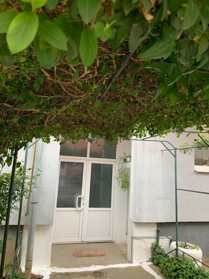 Cazare Medias, Apartament Modern Exterior photo